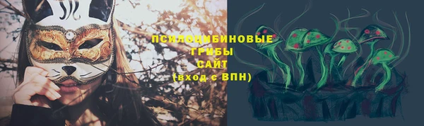 соль ск Верхний Тагил
