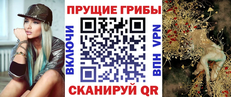 Купить закладки  Минеральные Воды  Псилоцибиновые грибы Cubensis 